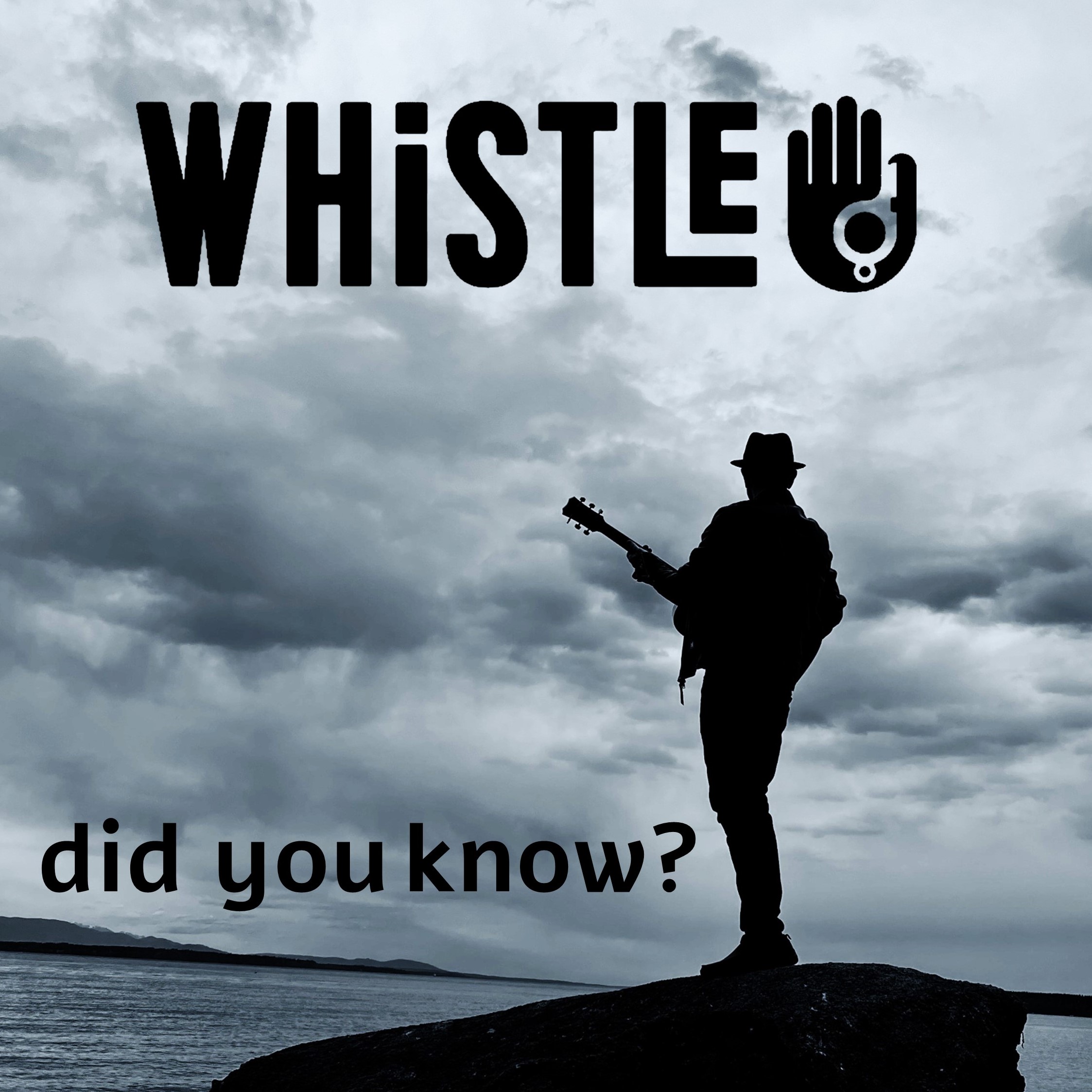 Whistle logo