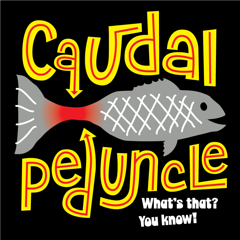 Caudal Peduncle logo
