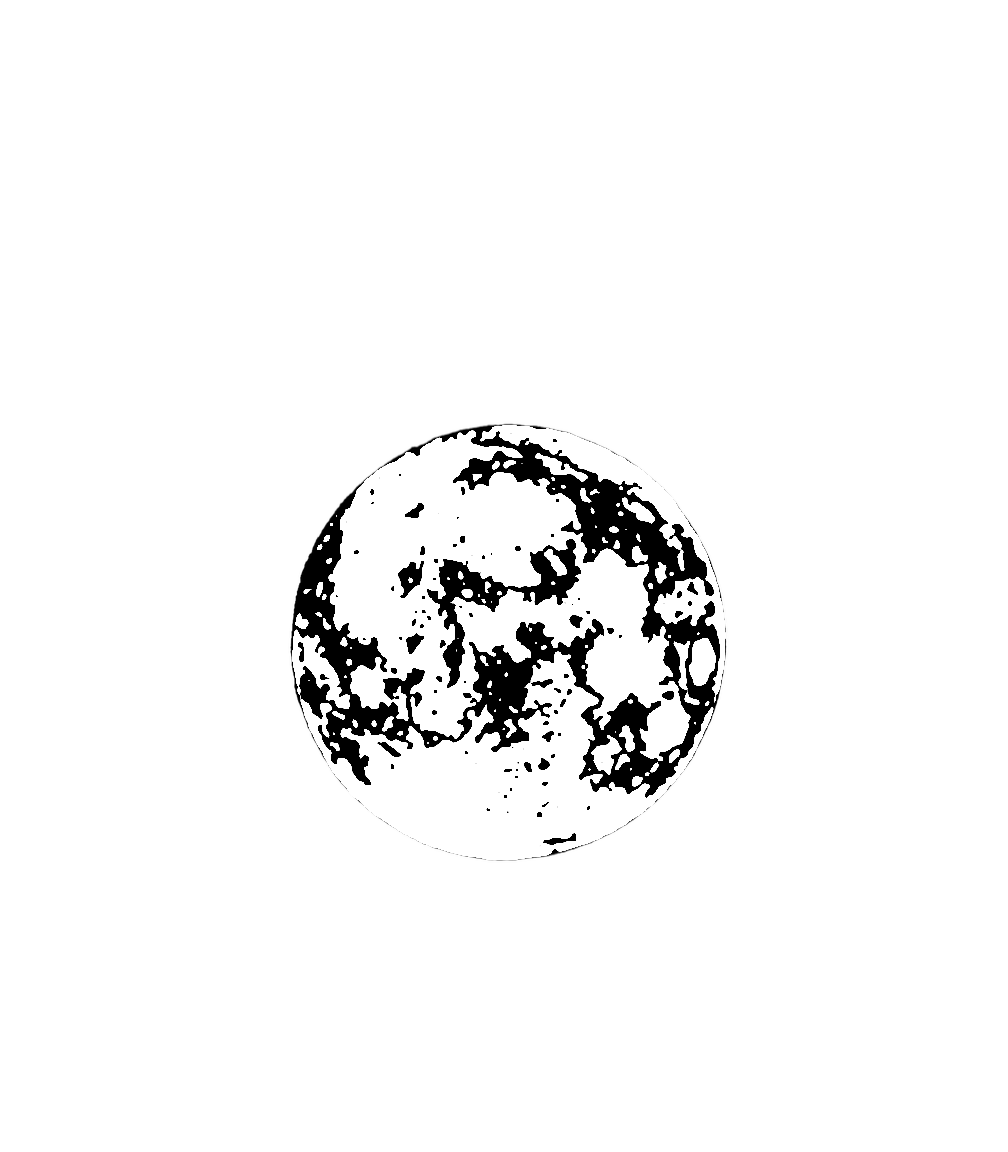 VVILFRED logo