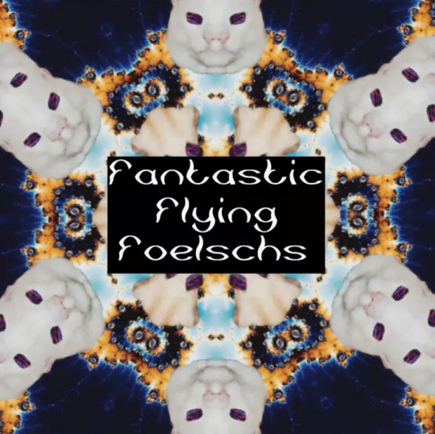 Fantastic Flying Foelschs logo