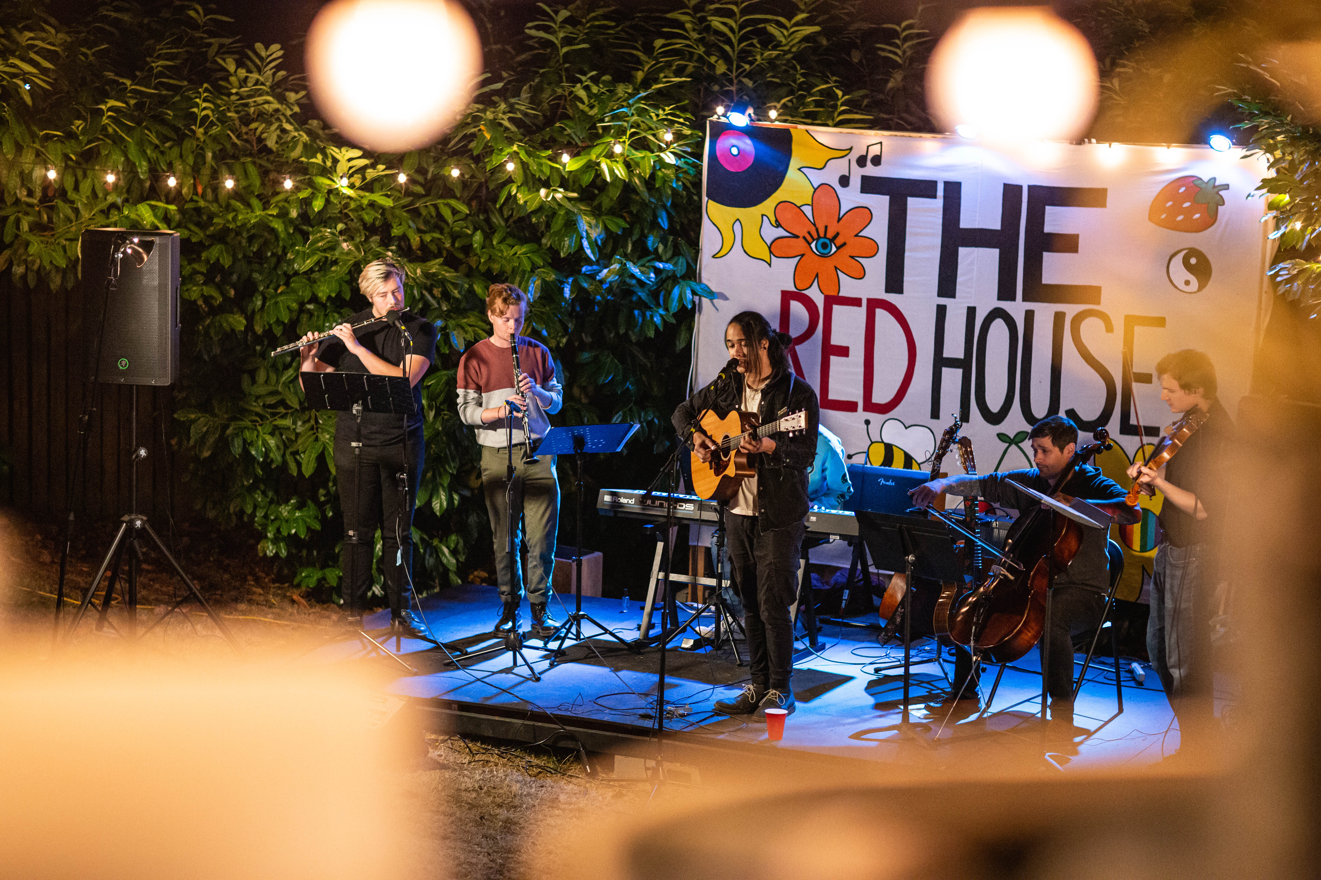 Townsend's Solitaire