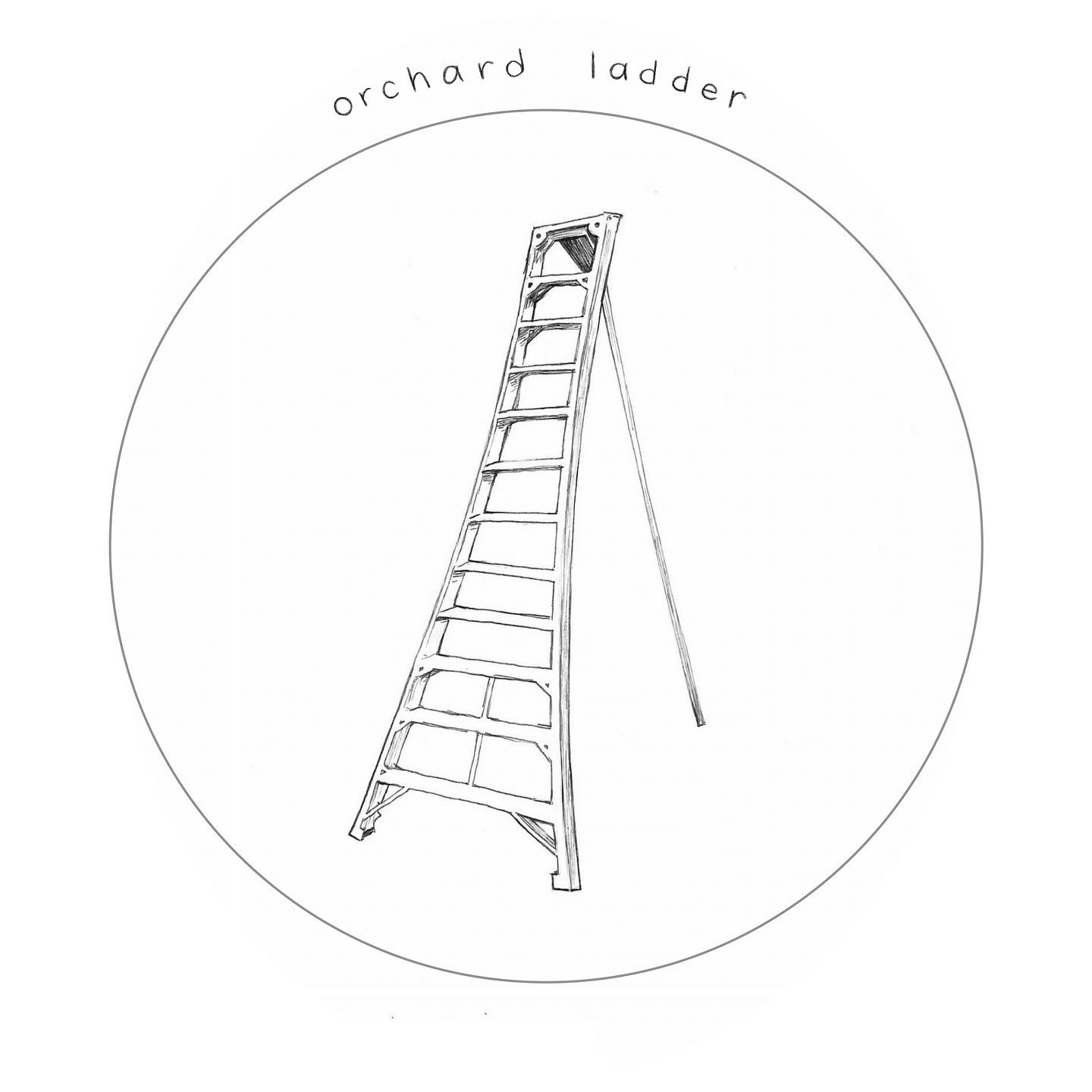 Orchard Ladder logo